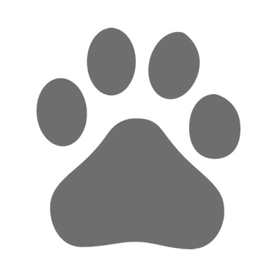 Progettazione del logo